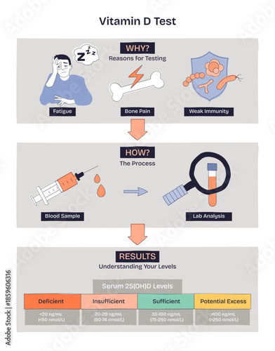Vitamin D test overview illustrates reasons, process, and result ranges with simple icons, key objects, syringe, test tube, results chart, transparent background. Doodle style diagram