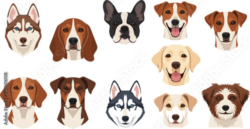 Set of popular dog breed portraits featuring husky beagle french bulldog golden retriever and jack russell terrier isolated vector illustration