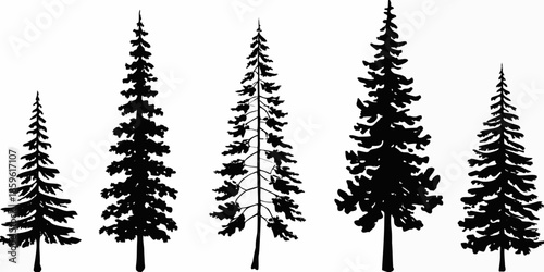 Simple black and white illustration of a group of coniferous trees
