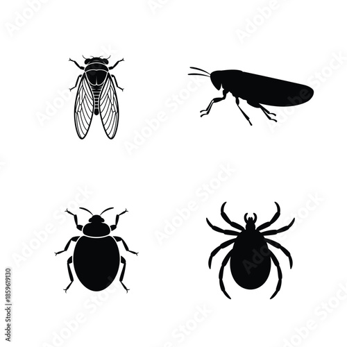 Insect vector silhouette bundle set