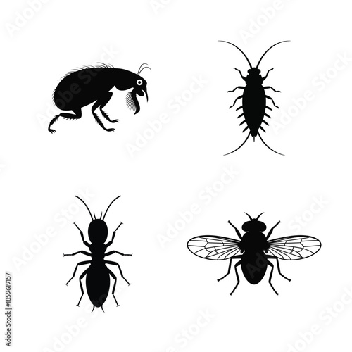 Insect vector silhouette bundle set