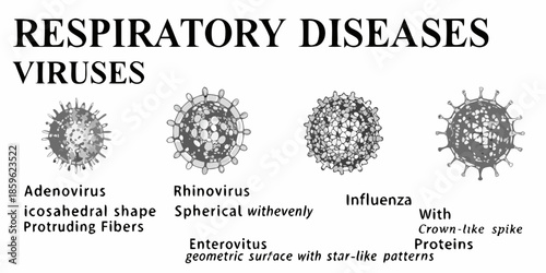 Illustrations of viruses linked to common respiratory diseases and infections