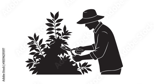 Gardener pruning a bush with shears, an illustration of diligent garden maintenance