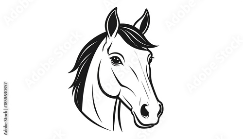 Monochrome horse head portrait