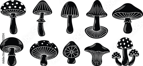 Mushroom silhouette illustration set featuring various wild fungi shapes, botanical elements, and nature icons for organic design and educational use