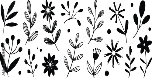 Hand drawn floral and botanical doodle set vector, collection of wild flower sketches, leaves, and branches in black line art