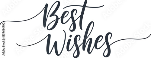 Best Wishes Elegant Calligraphy Text For Greeting Cards And Celebrations