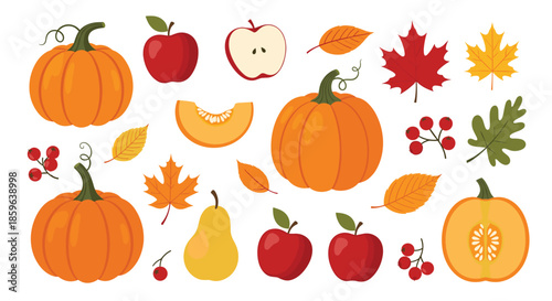 Autumn harvest collage featuring pumpkins apples pears gourds leaves berries and acorns arranged to celebrate a colorful fall display for seasonal decor.