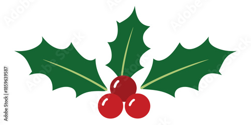 Holly berries clipart, Christmas holly, icon, mistletoe, vector, leaf, berry, template, corner, leaves, illustration, Christmas border clipart, isolated on white background