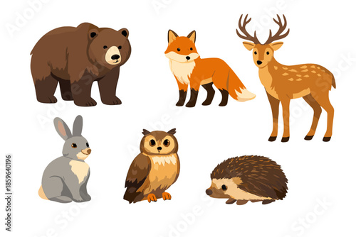 Woodland Animals in Warm Lighting