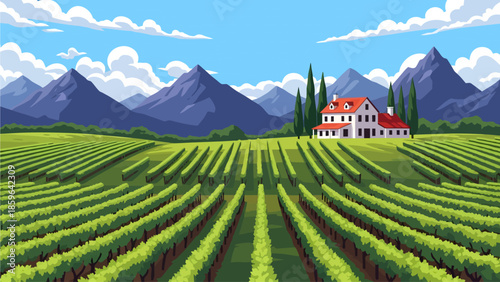 Scenic vector vineyard landscape featuring rows of green vines, a white farmhouse with red roof, and cypress trees against majestic blue mountains and a cloudy sky