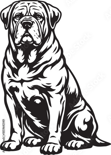 sitting dogue de bordeaux