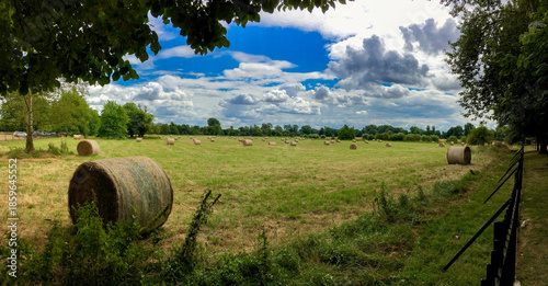 Картината върху платно Harvest Time