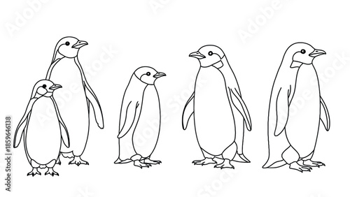 Penguin Family Group Standing Together in Simple Line Art Illustration for Nature and Education Stock