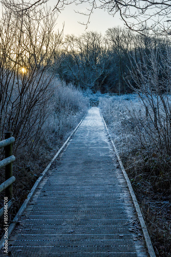 The frozen boardwalk at dawn.