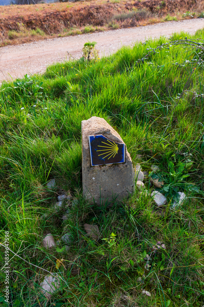 Fototapeta premium the memorial stone of the Camino de Santiago near Cirauqui in Spain