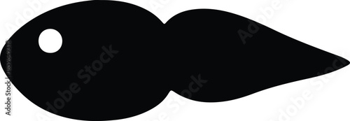 Silhouette tadpole swimming in water aquatic life vector illustration