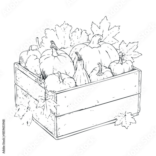 Harvest season A wooden crate filled with pumpkins and leaves. Vector illustration