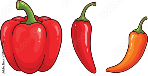 Bell pepper and chili pepper vector illustration set showing red and orange vegetables isolated on white background for food cooking and vegetable design