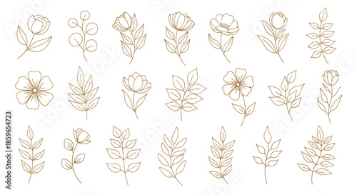 Collection of hand-drawn botanical elements featuring delicate golden flowers and leaves in a minimalist dashed line art style for elegant designs.