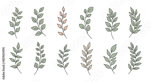 Set of hand-drawn botanical branches with green and pink leaves in a simple and clean line art style for natural design elements.