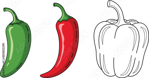 Chili pepper and bell pepper vector illustration set with colored and outline styles isolated on white background for food cooking and vegetable design