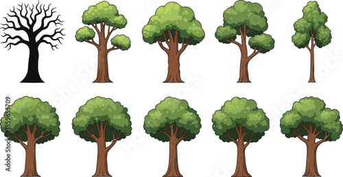 Tree growth stages vector illustration set showing leafless and green leafy trees isolated on white background for nature landscape forest and environmental design