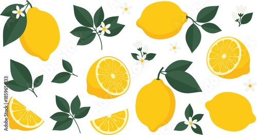 Lemon fruit with leaves, flowers, wedges, citrus botanical elements, juicy yellow texture, summer freshness - flat vector illustrationLemon fruit with leaves, flowers,