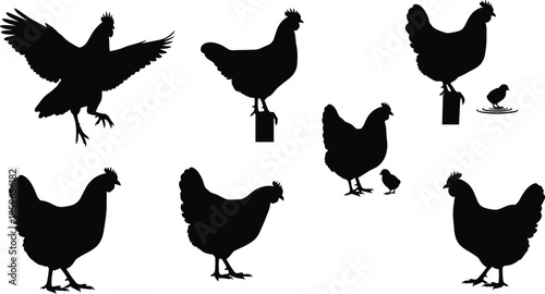 Chicken silhouettes, poultry vector icons, farm animals, flying hen, walking rooster, pecking chicken, chick near water, livestock poses, black bird shapes