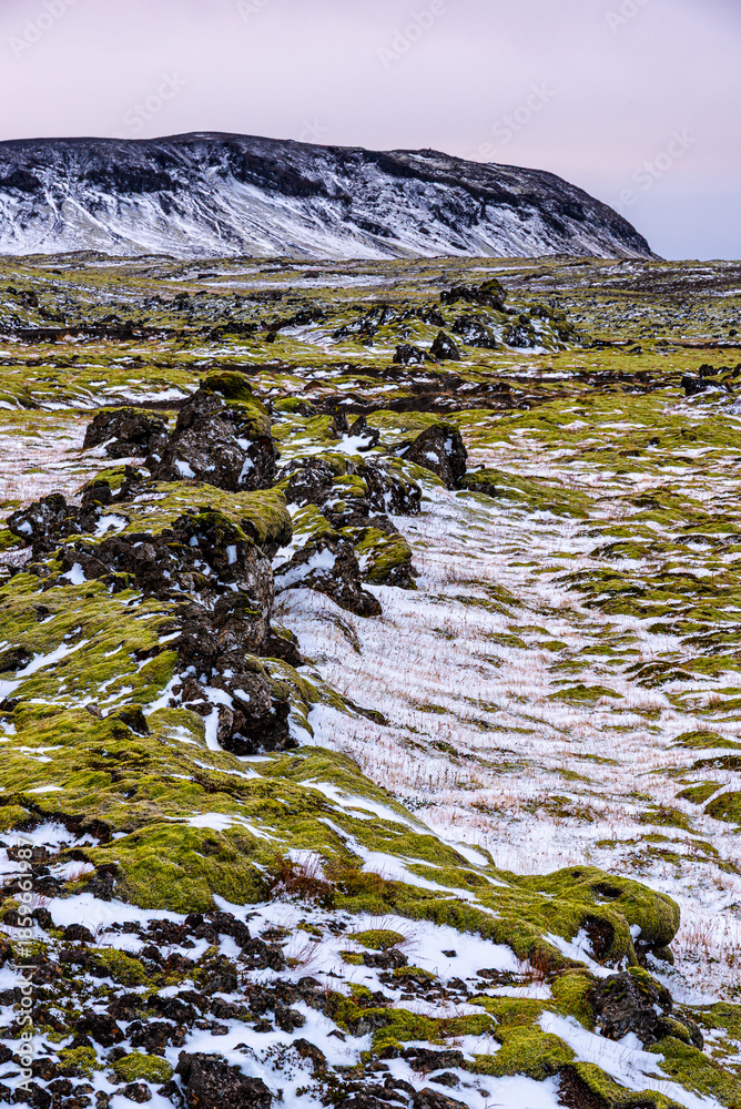 Fototapeta premium A rugged Icelandic landscape of mossy lava fields and fresh snow stretches toward distant mountains, capturing the raw beauty and quiet mood of the highlands.