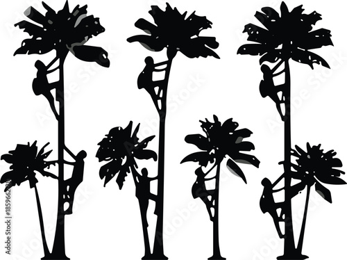 Palm tree climbers silhouette, black and white art, traditional harvesting scene, nature interaction, rural lifestyle concept, tropical culture design