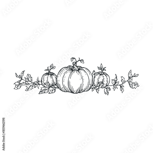 Autumn harvest with pumpkins and leaves for seasonal decor. Vector black icon