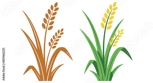 Illustrated rice plants in vibrant colors with green leaves and yellow grains in minimalistic background japanese style coming of age day concept