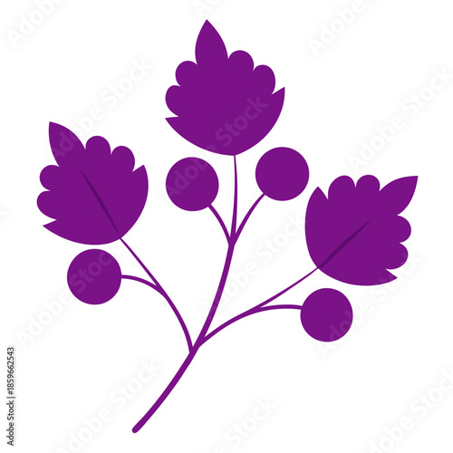 hawthorn purple with leaves