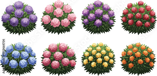 Colorful flowering bushes vector set with vibrant garden shrubs isolated on white background for landscape design illustration spring nature decor