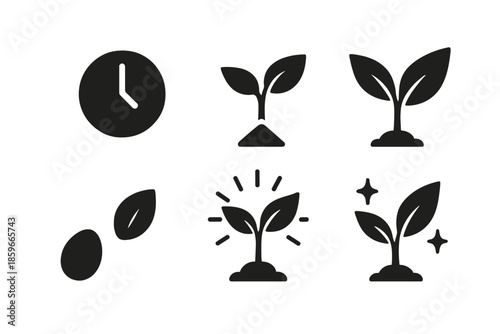 Icons of Growth. Solid style icons of natural progression in : seed, clock, prism sprout, glowing sapling, radiant leaf, ethereal