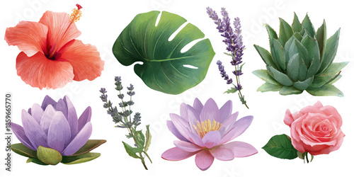 Vibrant tropical hibiscus flowers and exotic green leaves watercolor illustration set