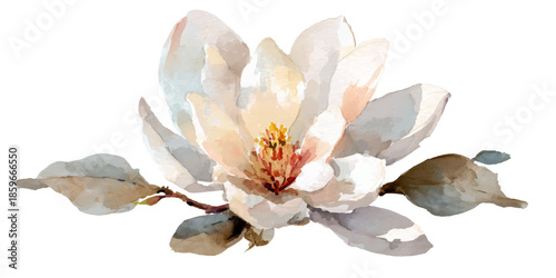 A delicate watercolor painting of a single, soft pink magnolia flower with subtle brown accents, isolated on a transparent background. Perfect for elegant floral designs.