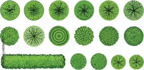 Landscape Design Vector Set featuring Green Tree Symbols and Colorful Flower Bushes Top View Plan Icons for Architecture Site Mapping