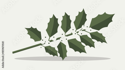 Holly Branch with Green Leaves and Berries.