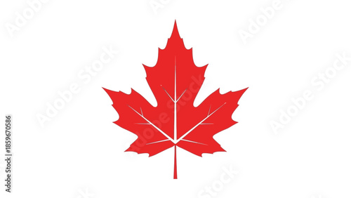 Red Maple Leaf Icon Symbol.