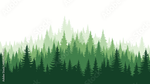 Dense Forest of Green Coniferous Trees Illustration.