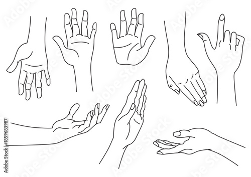 A collection of sketched hands in various poses and orientations