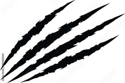 Four sharp claw marks