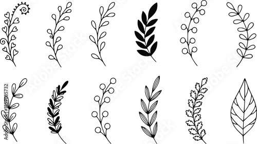 hand drawn leaf and branch outlines suitable for wedding stationery logo design minimalist art and floral decoration