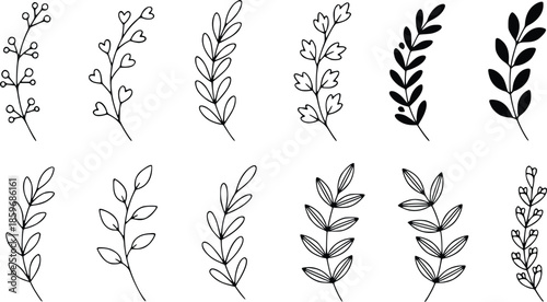 hand drawn outline leaves and branches ideal for wedding invitations stationery logos minimalist design and floral decoration