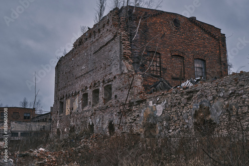 Tall deciduous tree with mistletoe clusters standing against a gloomy winter sky. Atmospheric landscape of a bare forest in a desolate industrial area during a cold, cloudy day.