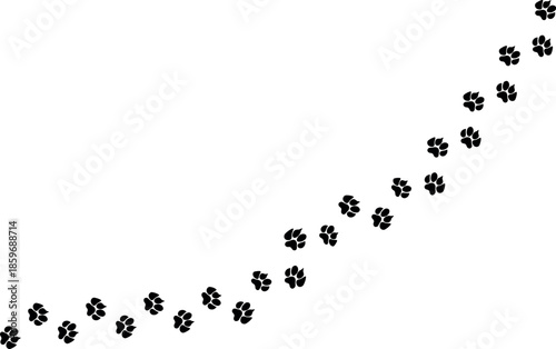 Footprints or steps of a big cat. Panther or tiger vector  traces, tiger foot track in a diagonal shape, wolf, cheetah, lion footprint