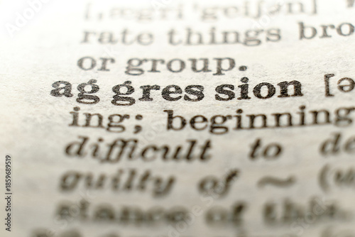 Bilde på lerret Dictionary macro featuring “aggression”, concept for conflict, violence, hostility and psychology