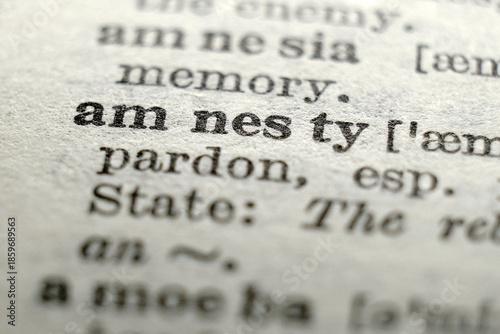 Εκτύπωση καμβά Dictionary macro featuring “amnesty”, concept for pardon, law, politics, conflict resolution and rights